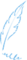 羽毛.png